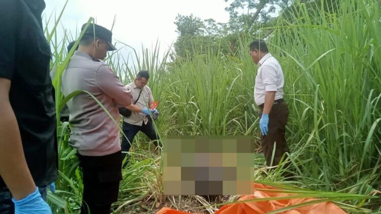 Terungkap! Misteri Kematian Syamsul di Kebun Tebu Situbondo, Keluarga Sendiri Diduga Terlibat